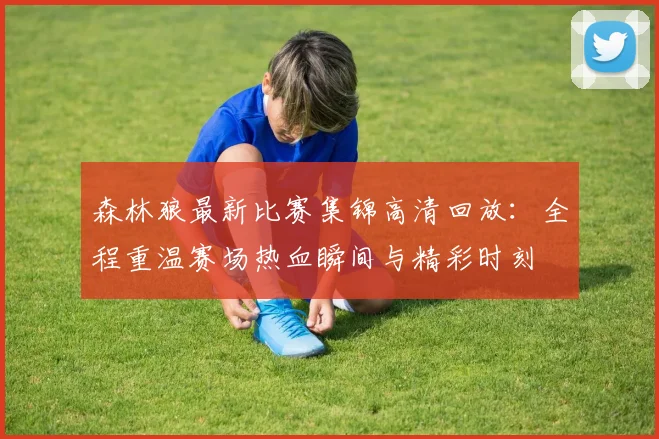 森林狼最新比赛集锦高清回放：全程重温赛场热血瞬间与精彩时刻