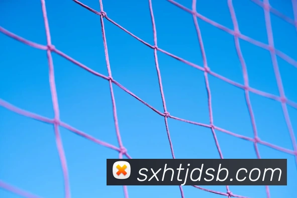 乐鱼体育官方网站APP 高清赛事图